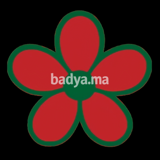 badya.ma