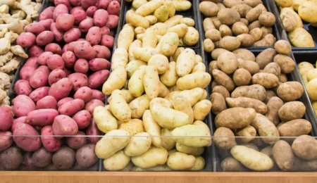 Pomme de terre Maroc