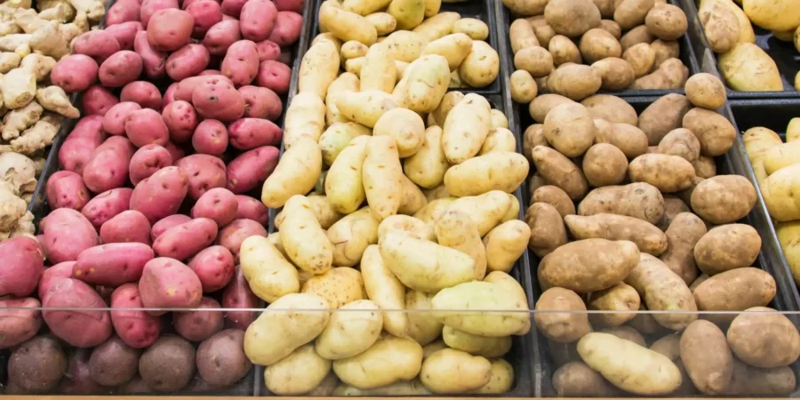 Pomme de terre Maroc