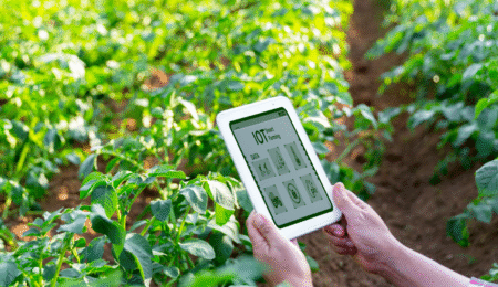 agriculture digitale Maroc