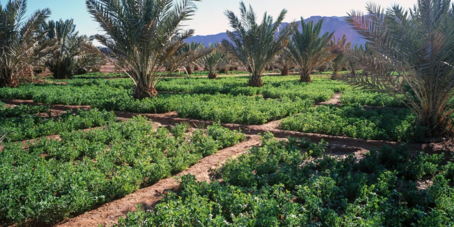 développement durable