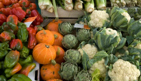 Le Maroc propulse ses exportations d’avocats, citrouilles et bleuets en 2025