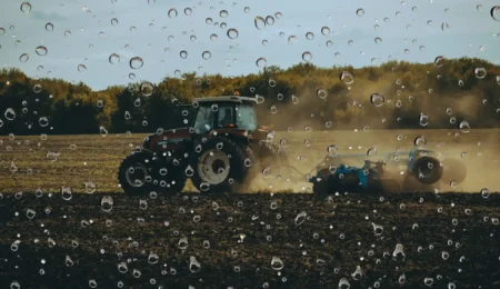 Pluies automnales au Maroc : un nouvel espoir pour l’agriculture et les campagnes