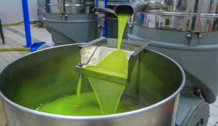 L’huile d’olive est en train de redevenir un produit abordable au Maroc