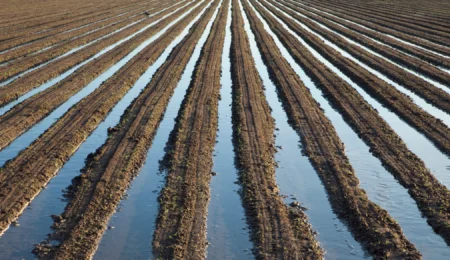 Chaouia, du déficit à l’abondance : comment le “big bang” de l’irrigation peut changer l’agriculture marocaine