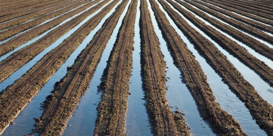 Chaouia, du déficit à l’abondance : comment le “big bang” de l’irrigation peut changer l’agriculture marocaine
