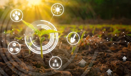 L’agriculture marocaine se réinvente : du rêve à la réalité