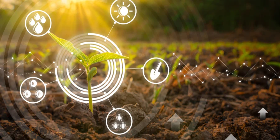 L’agriculture marocaine se réinvente : du rêve à la réalité