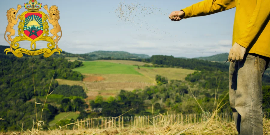 Le Maroc mise sur l’agriculture de conservation pour bâtir un avenir durable