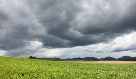 Les pluies reviennent, l’agriculture marocaine renaît