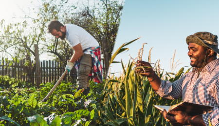 Pendant que le Maroc accélère sa transition agricole, que fait le reste de l’Afrique ?