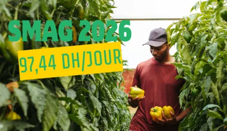 SMAG 2026 : 97,44 DH/jour