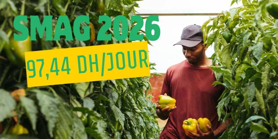 SMAG 2026 : 97,44 DH/jour