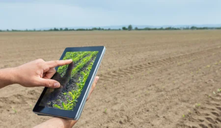 90 000 jeunes ruraux bientôt formés : L'agriculture marocaine prépare sa relève