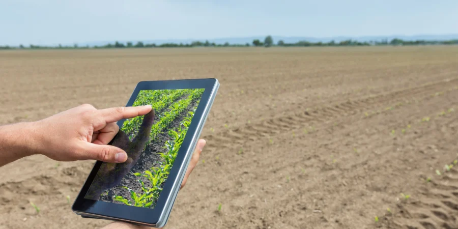 90 000 jeunes ruraux bientôt formés : L'agriculture marocaine prépare sa relève