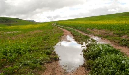 Après 7 ans d'épreuve : Le Maroc sort officiellement de la sécheresse