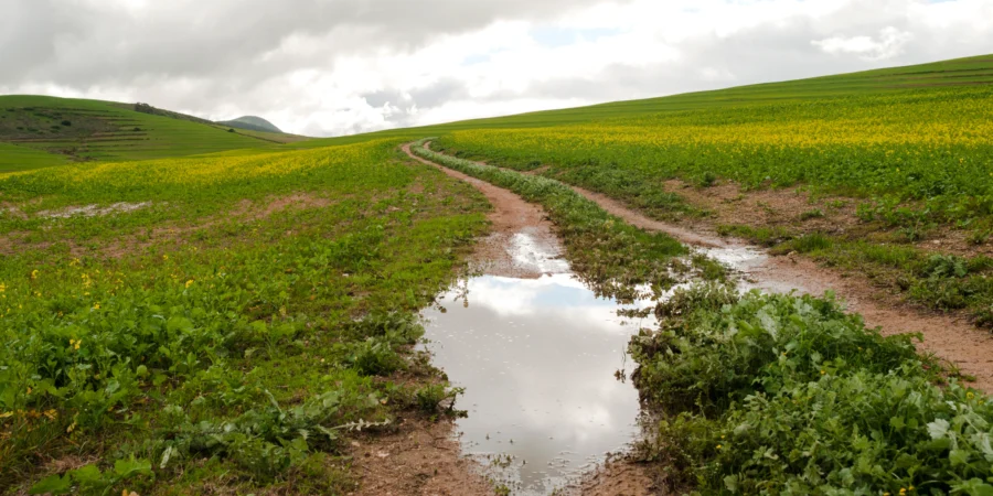 Après 7 ans d'épreuve : Le Maroc sort officiellement de la sécheresse