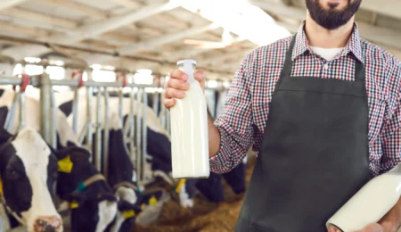 prix lait Maroc 2026, filière laitière reprise, marge distribution lait Maroc, lait demi-écrémé vs entier