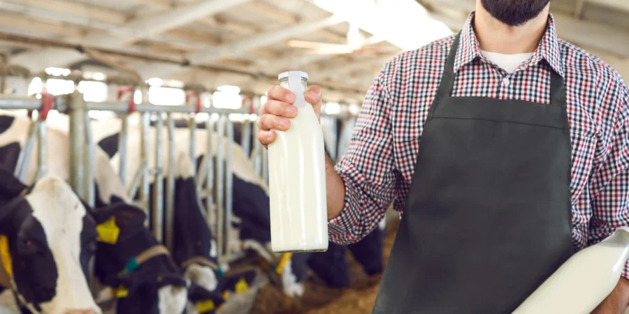 prix lait Maroc 2026, filière laitière reprise, marge distribution lait Maroc, lait demi-écrémé vs entier