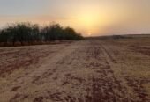 Terrain de 4 hectares sur Ben Ahmed