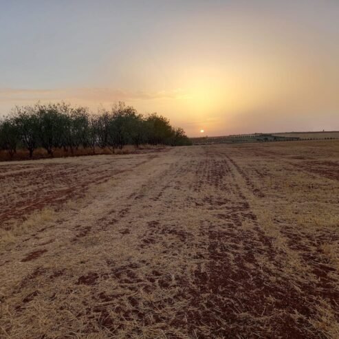 Terrain de 4 hectares sur Ben Ahmed