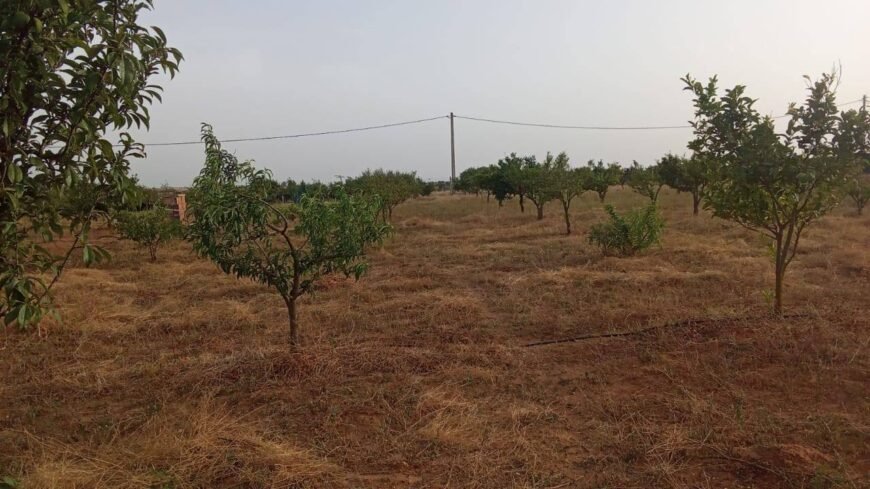 Terrain de 4 hectares sur Ben Ahmed