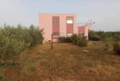 Terrain agricole 4 khadam
