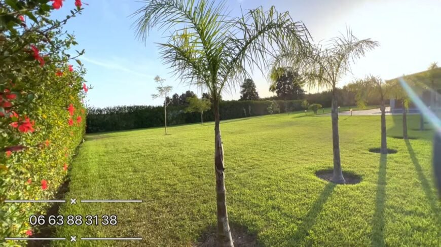 terrain
