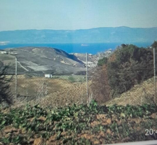 Terrain