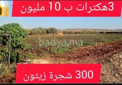 screenshot-20250830-123103-youtube