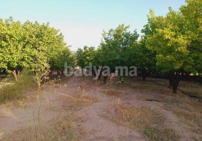 549565802-122168239100473958-9013531910195994471-n