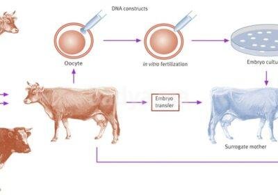 65faa1b0b7dffc81dd6e1a45-0ppivjzzpo-hh2lystjnwfkethe2mcymyfvaziwbjngmmrifqjurk3vy1vmhsb5smyqlc5z79obdczumk8pnk2whrl0iij1afo2frf1siynlrnxfwrcfsygjfix4ginowgh2uprcwm3hrfi0x0hgrco