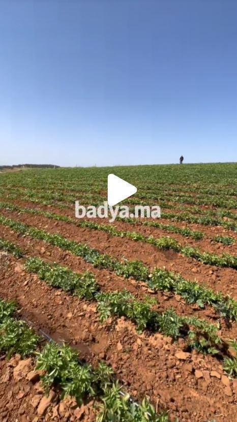 Terrain Agricole Meknès