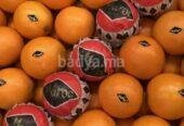 Orange Navel origine Maroc