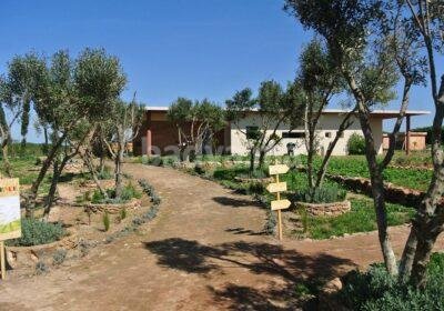 la-ferme-pedagogique