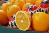 Orange Navel origine Maroc
