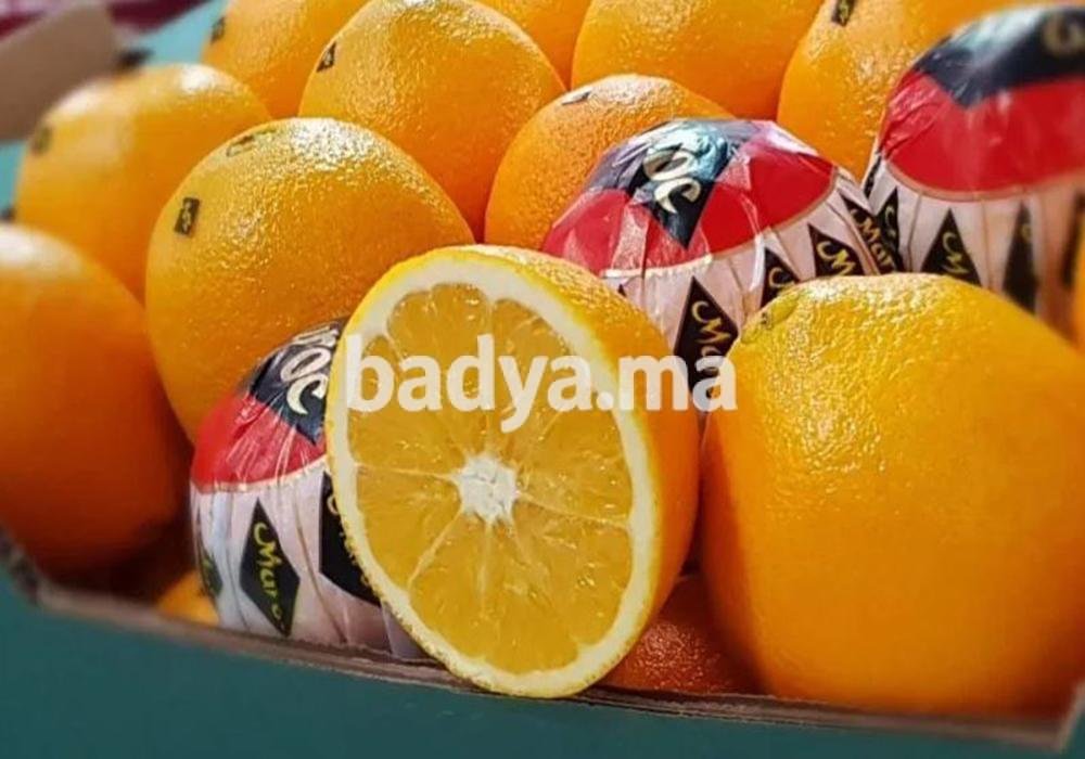 Orange Navel origine Maroc