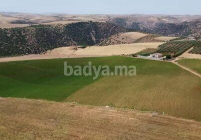 whatsapp-image-2025-07-07-at-14-22-33