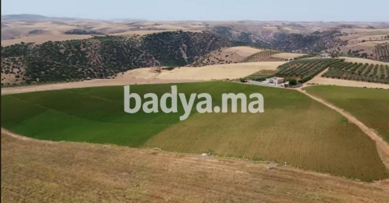 Vente Terrain région De Meknès