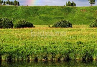 db98322612cd4259830fec9067cb8e89