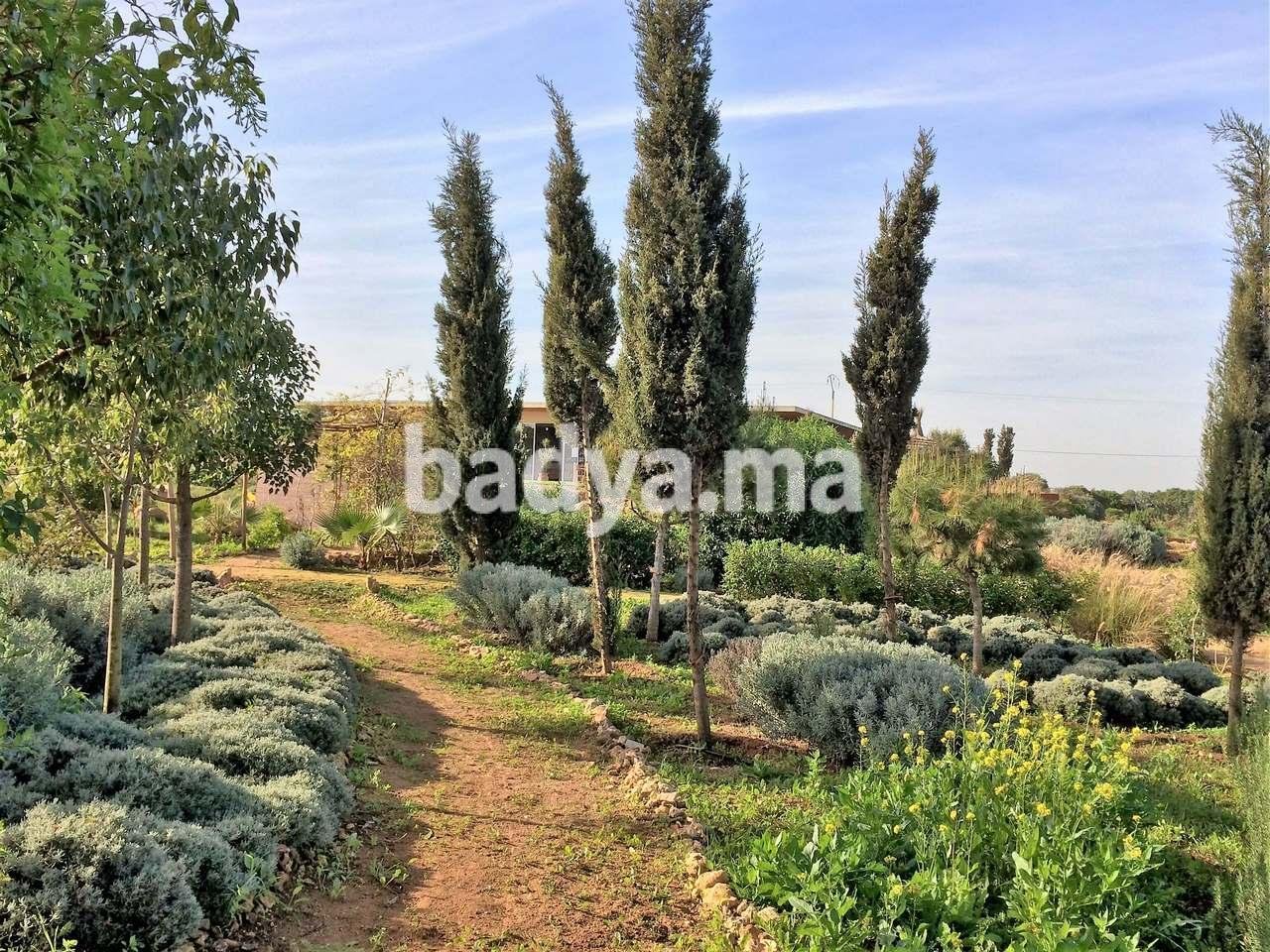 La Ferme Pédagogique