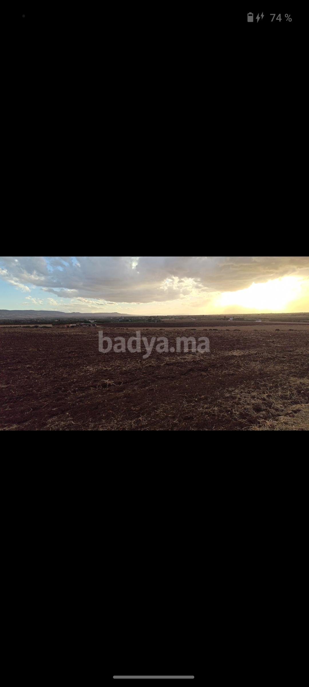 Terrain vide 3,6 hectares