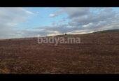 Terrain vide 3,6 hectares