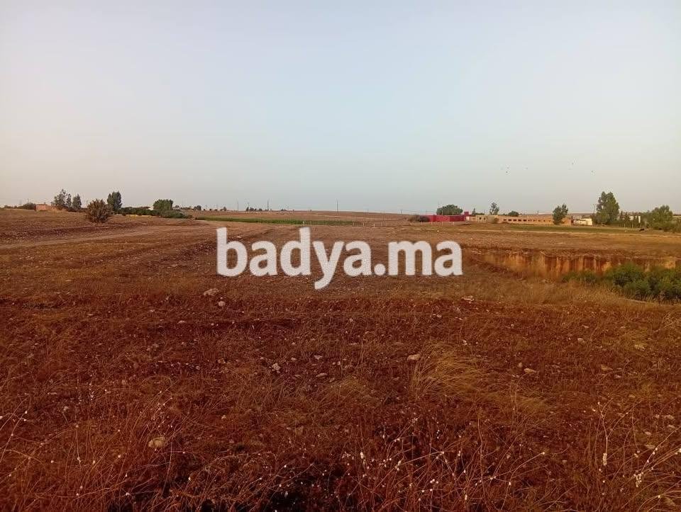 Terrain agricole sur Meknès test1 recréer