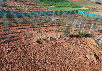 571132610-122126573294961328-8621840462036099925-n