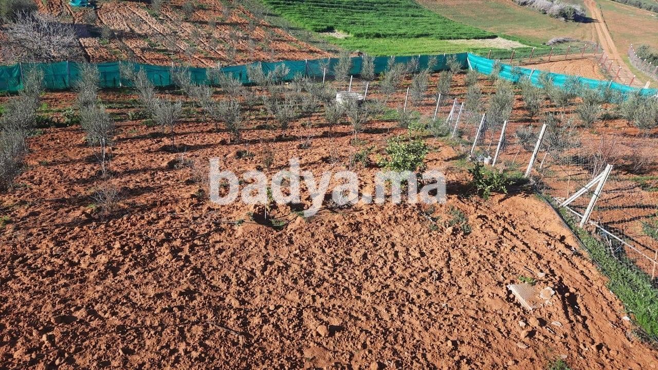 571132610-122126573294961328-8621840462036099925-n