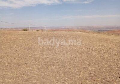 572136616-122255157200145151-6840657756198464423-n