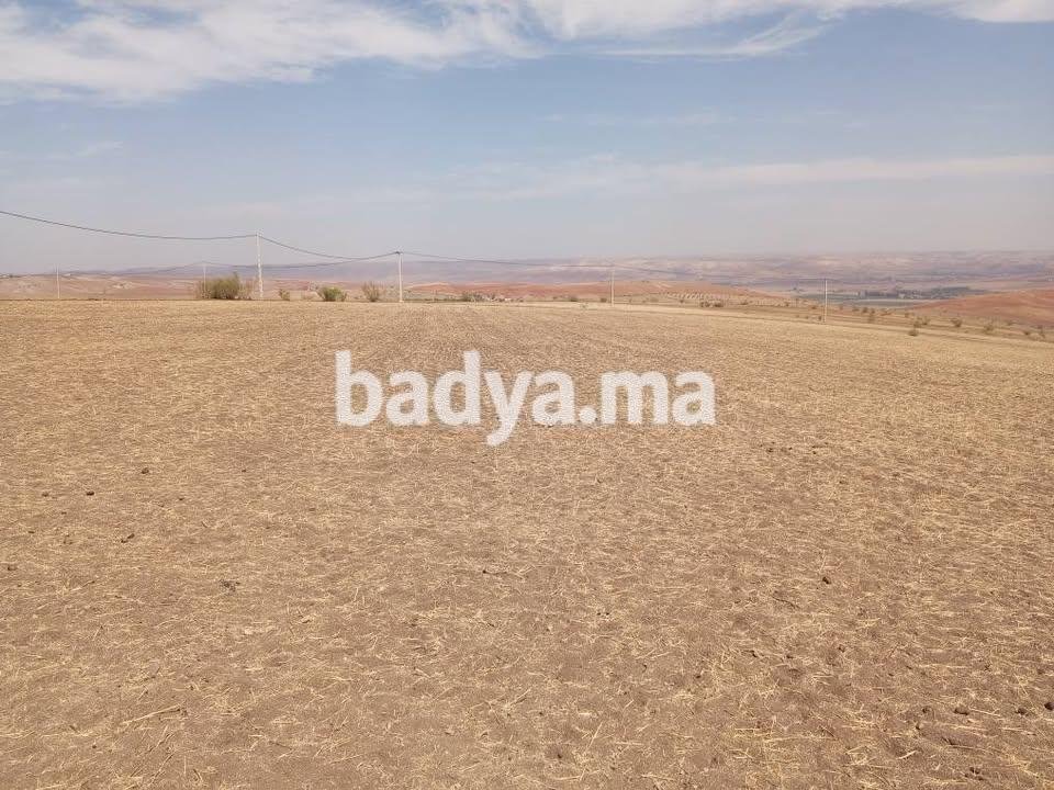 572136616-122255157200145151-6840657756198464423-n