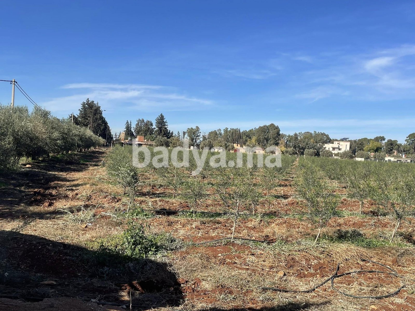 Terrain à Khémisset