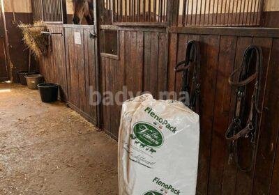 fienopack-timothy-jpg